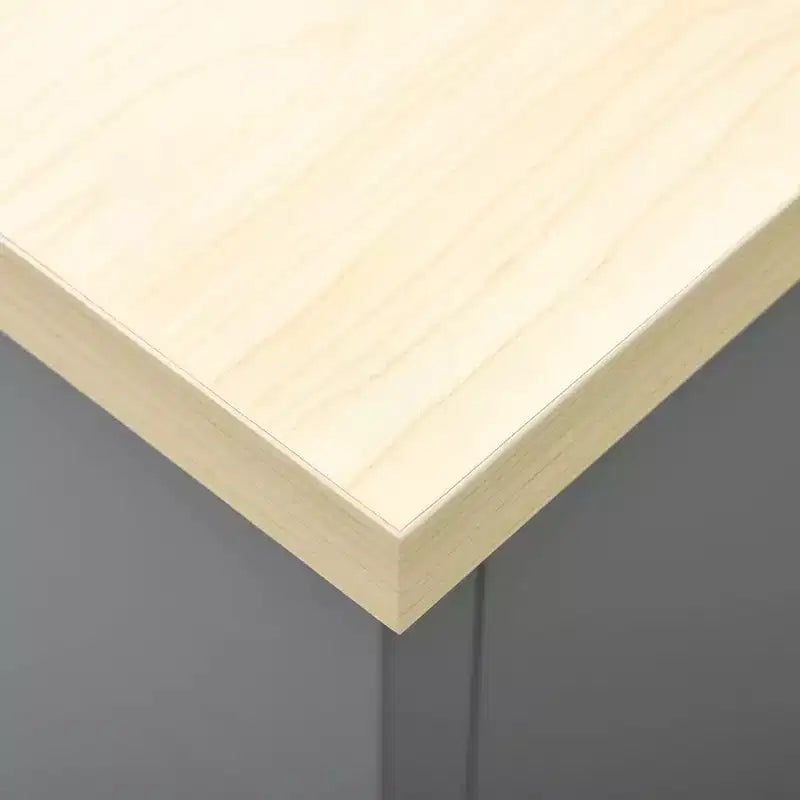 Établi en acier noir avec armoire et 6 tiroirs, 160 cm (L) x 60 cm (P) x 85 cm (H)
